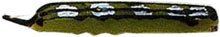 Creme Catalpa Worm 2ct